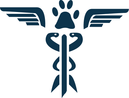 Aut: Sergiusz Rybak, 2TG